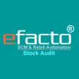 efacto stock audit efacto stock audit