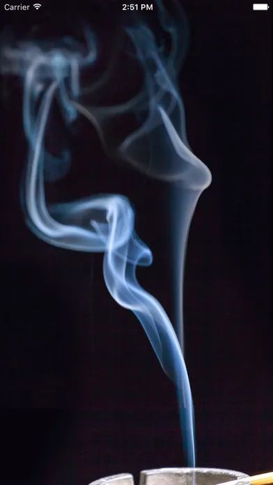 How Much Did I Smoke?应用截图