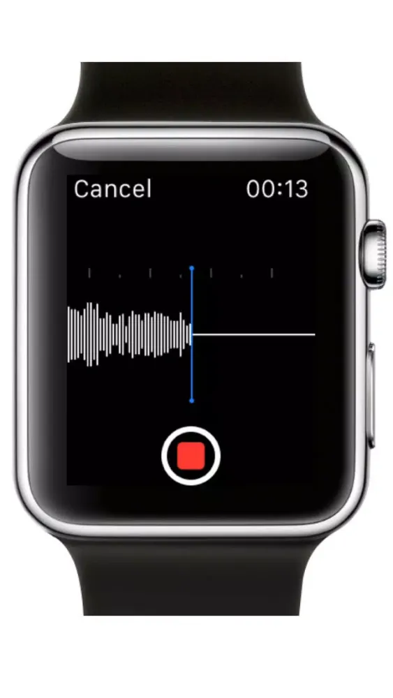 Watch Recorder ( Voice Memo ) سکرین شاٹس