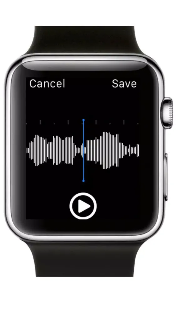 Watch Recorder ( Voice Memo ) سکرین شاٹس