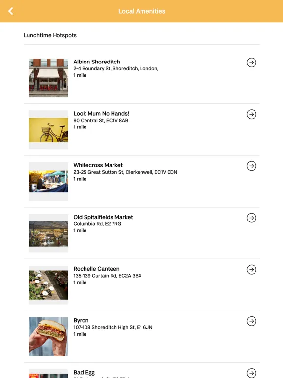 sesame: Elm Yard iPad  Screenshots