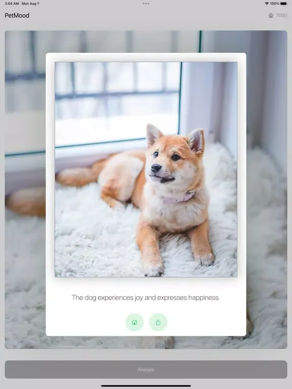 Pet Mood - Emotion Prediction iPad  স্ক্রিনশট