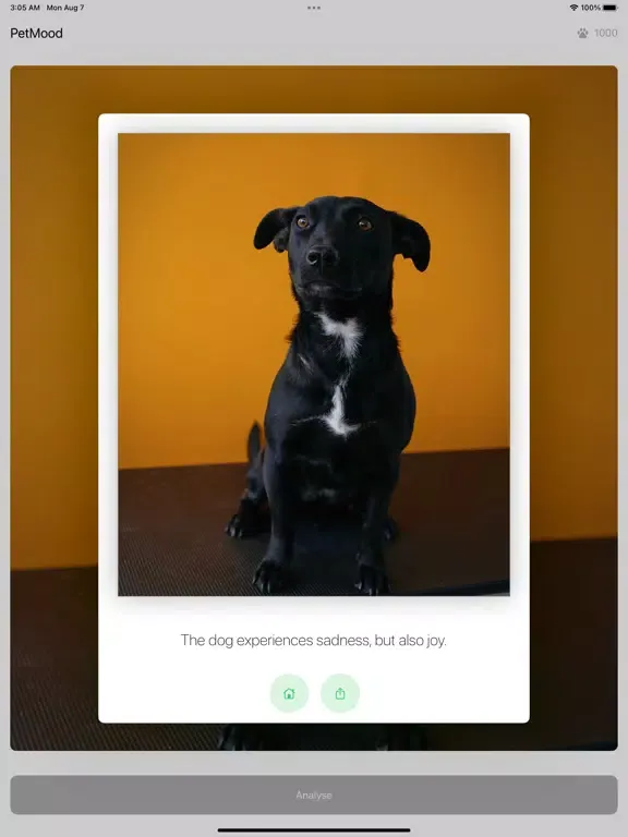 Pet Mood - Emotion Prediction iPad  স্ক্রিনশট
