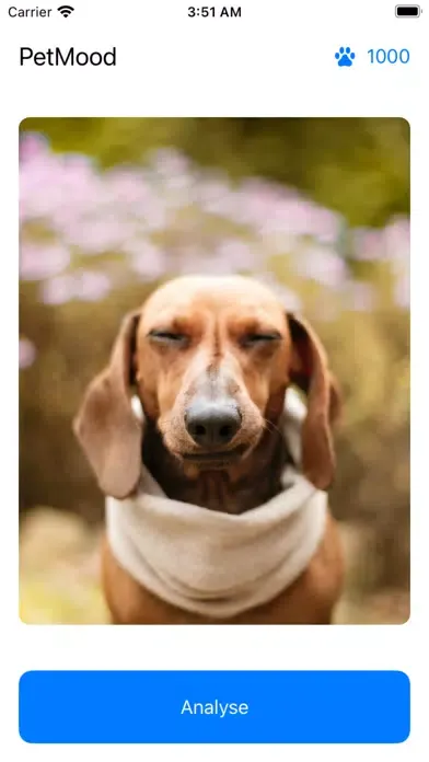 Pet Mood - Emotion Prediction স্ক্রিনশট