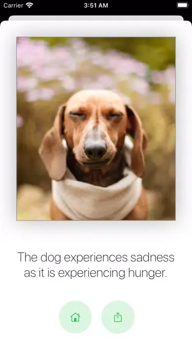 Pet Mood - Emotion Prediction স্ক্রিনশট
