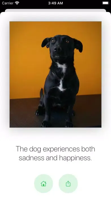 Pet Mood - Emotion Prediction স্ক্রিনশট