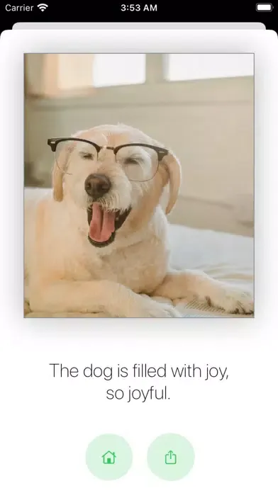 Pet Mood - Emotion Prediction স্ক্রিনশট