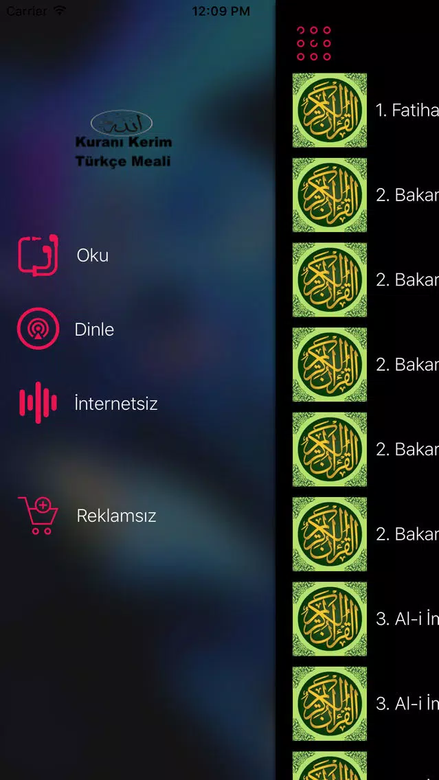 Kuranı Kerim Dinle Meali Sesli Ekran Görüntüleri