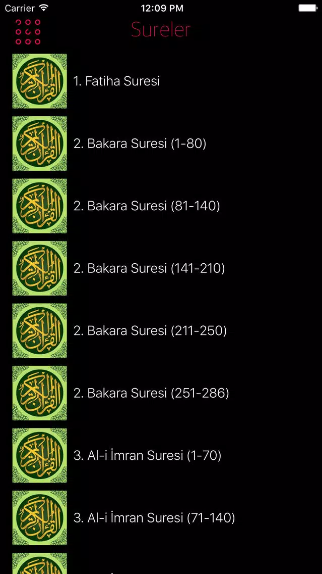 Kuranı Kerim Dinle Meali Sesli Ekran Görüntüleri
