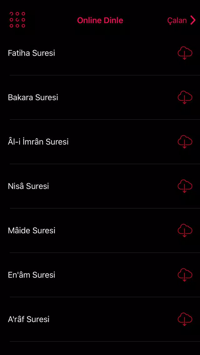 Kuranı Kerim Dinle Meali Sesli Ekran Görüntüleri