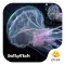 Clear Jellyfish Emoji Keyboard