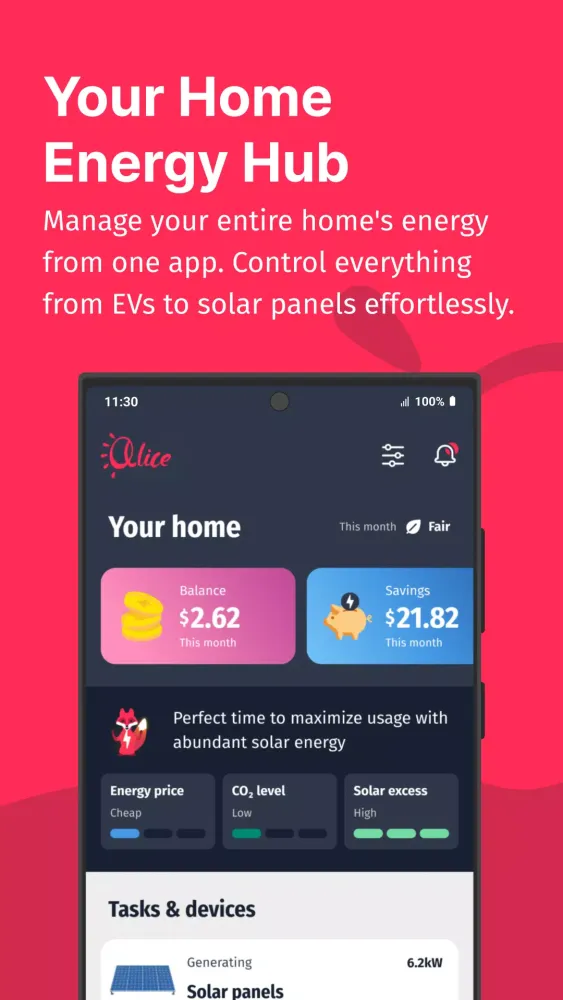 Alice Energy应用截图
