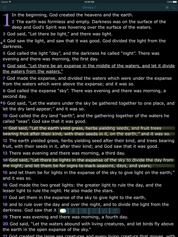 Messianic Bible The Holy Jewish Audio Version Free iPad  স্ক্রিনশট