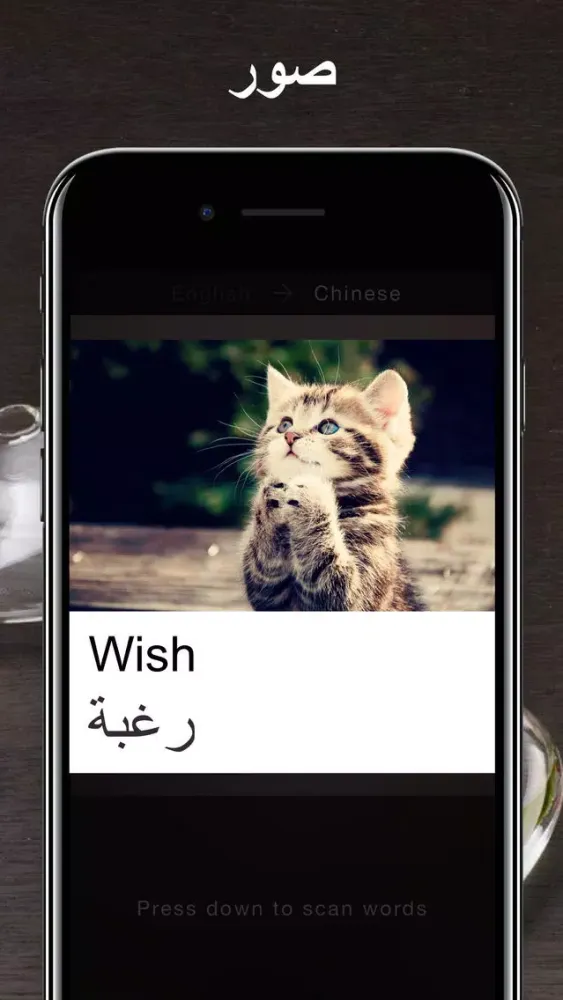 الترجمة - الإنجليزية إلى العربية الترجمة應用截圖