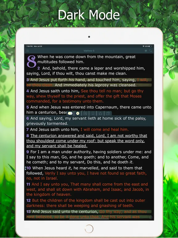 Tangkapan skrin King James Bible with Audio iPad 