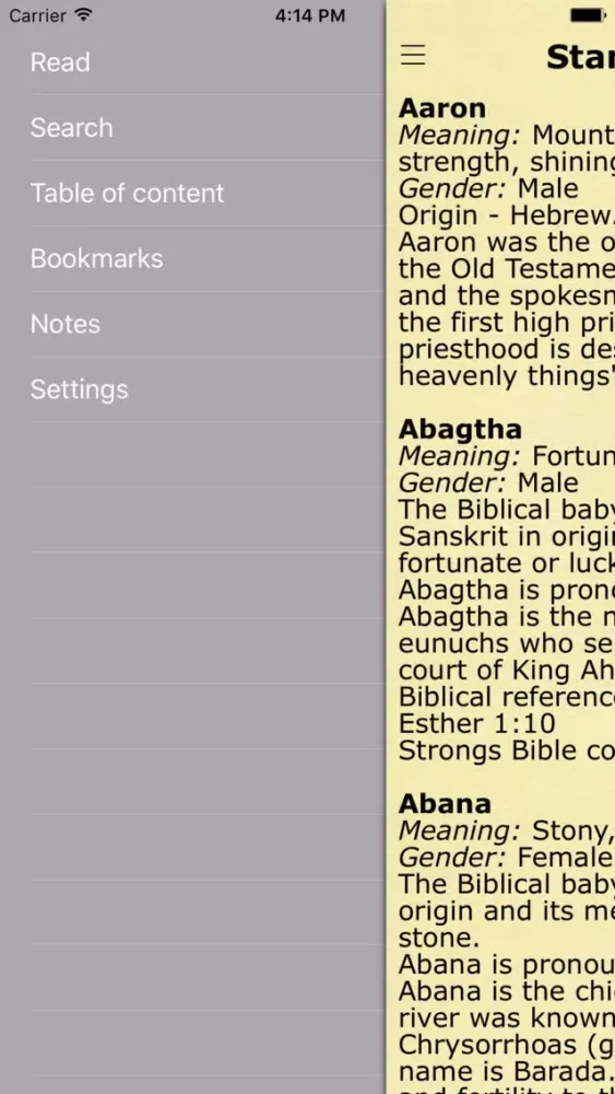 Biblical Names with Meaning and Context from Bible Screenshots