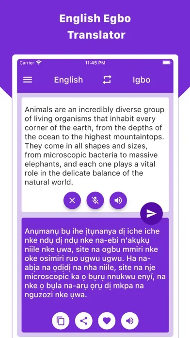 ภาพหน้าจอของ English Egbo Translator