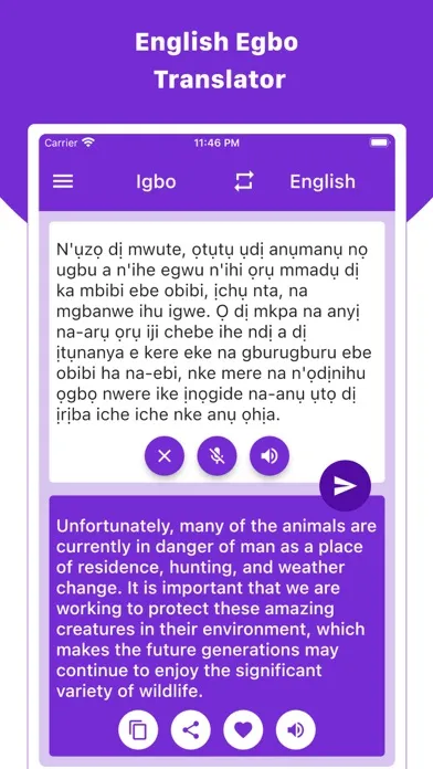ภาพหน้าจอของ English Egbo Translator