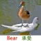 Funny English Flash Cards