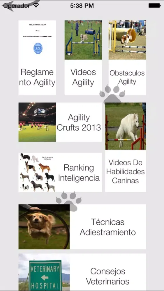 Ảnh chụp màn hình của Agility