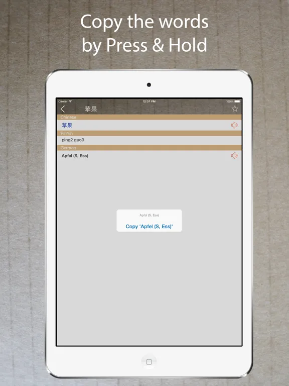 Tangkapan layar Chinese French Dictionary 法中词典 iPad 