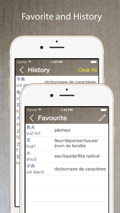 Tangkapan layar Chinese French Dictionary 法中词典