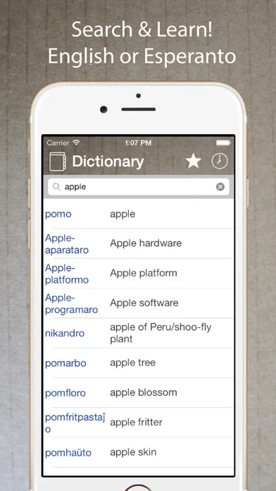 Tangkapan layar Esperanto English Dictionary