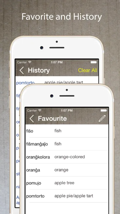 Tangkapan layar Esperanto English Dictionary