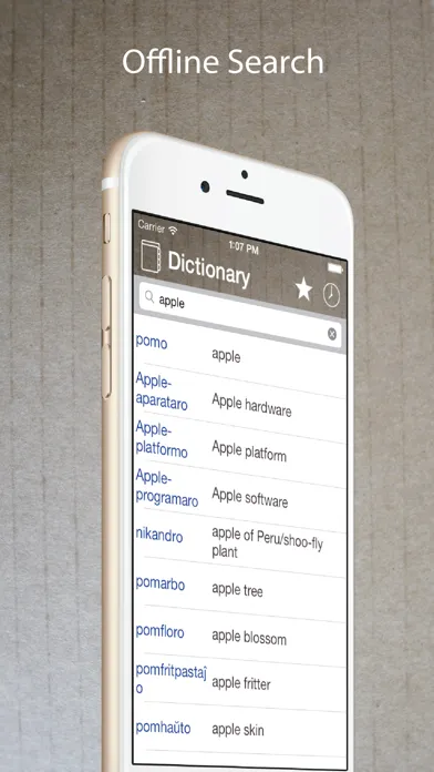 Tangkapan layar Esperanto English Dictionary