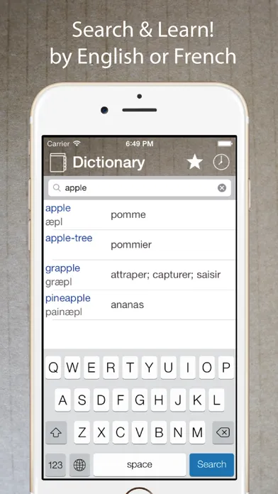 Tangkapan layar French English Dictionary Pro+