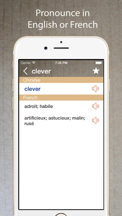 Tangkapan layar French English Dictionary Pro+