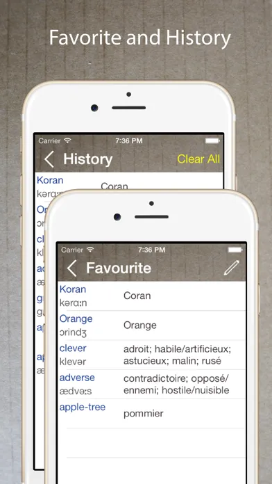 Tangkapan layar French English Dictionary Pro+