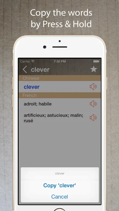Tangkapan layar French English Dictionary Pro+