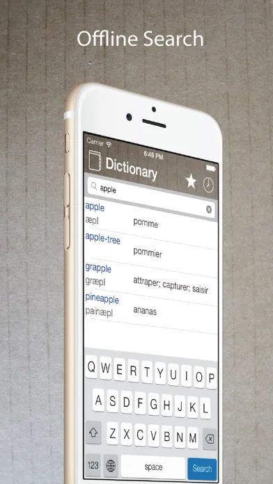Tangkapan layar French English Dictionary Pro+