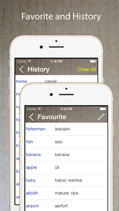 Tangkapan layar Irish English Dictionary +