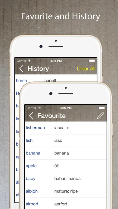 Tangkapan skrin Irish English Dictionary +