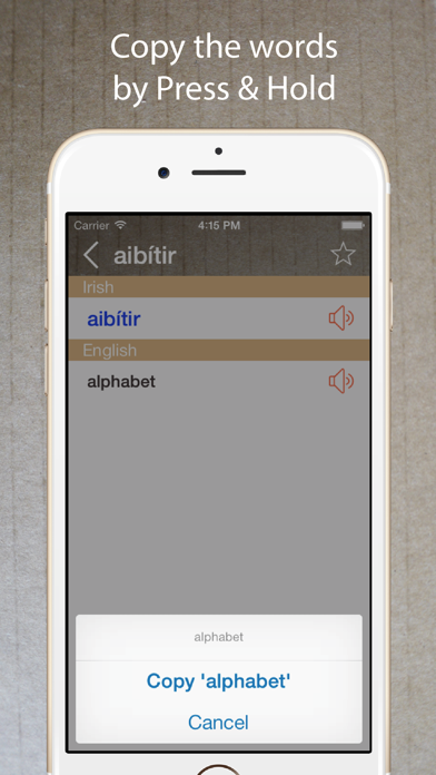 Tangkapan layar Irish English Dictionary +