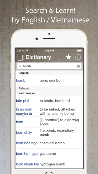 Capturas de pantalla de Vietnamese English Dictionary*