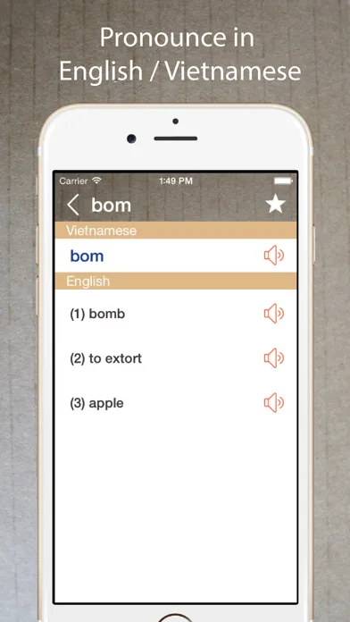 Capturas de pantalla de Vietnamese English Dictionary*