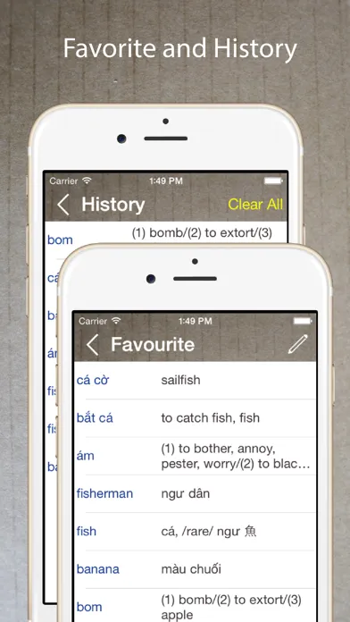 Capturas de pantalla de Vietnamese English Dictionary*