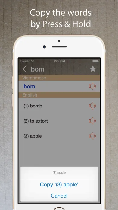 Capturas de pantalla de Vietnamese English Dictionary*