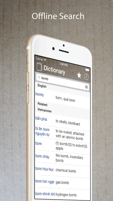 Capturas de pantalla de Vietnamese English Dictionary*