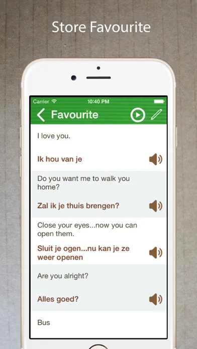 Learn Dutch Phrasebook Offline Screenshots