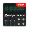 Equalizer Go Pro