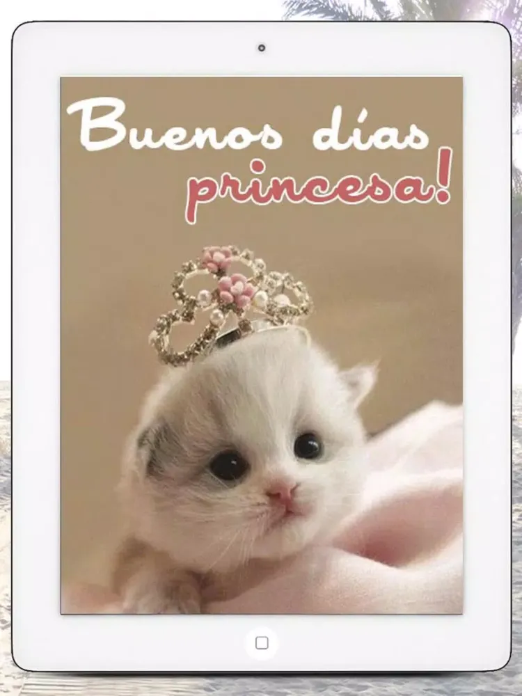 Good Morning messages in Spanish - Premium iPad  Screenshots