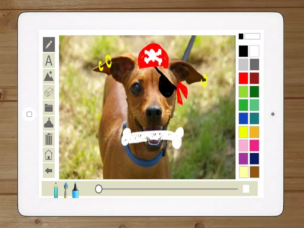Write and draw in photos - Premium iPad 應用截圖