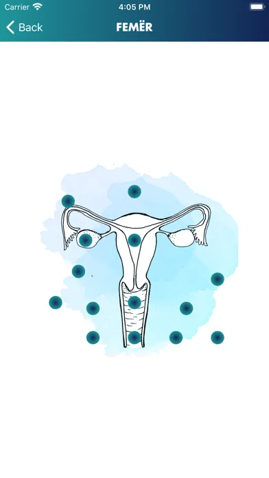 Shnet سکرین شاٹس