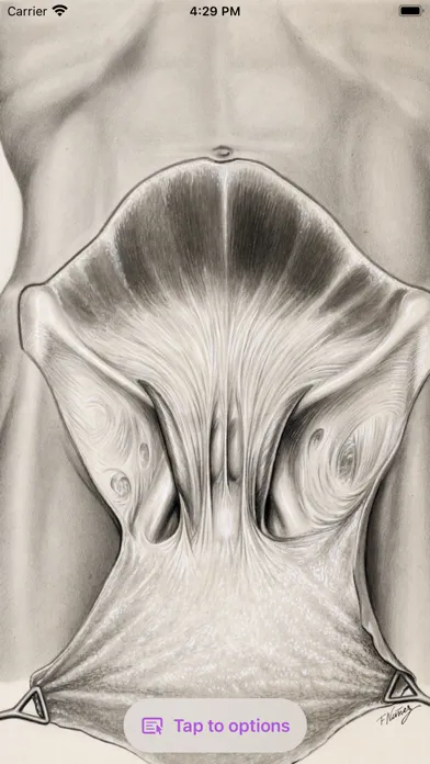 Gil Vernet’s Urology Drawings স্ক্রিনশট