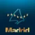 Madrid Shopping Experience