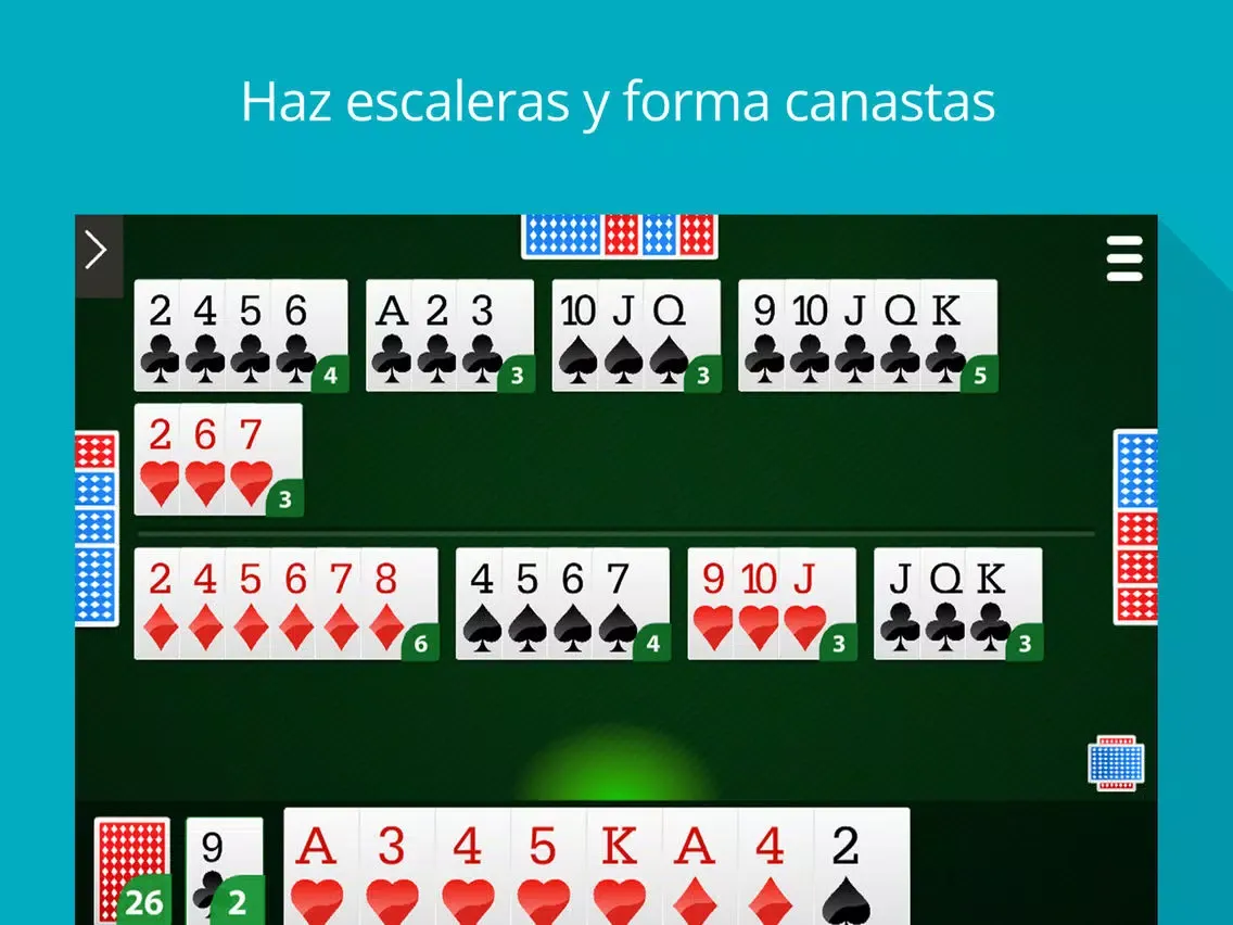 Canasta Real iPad 应用截图